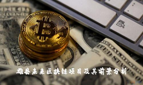 雄县未来区块链项目及其前景分析