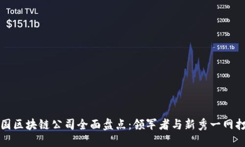 中国区块链公司全面盘点:领军者与新秀一网打尽