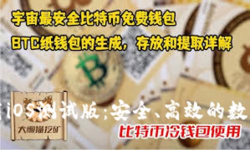 TP钱包官网下载iOS测试版:安全、高效的数字资产管理工具