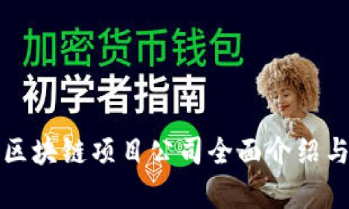 瓜州区块链项目公司全面介绍与分析