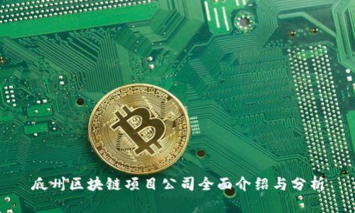 瓜州区块链项目公司全面介绍与分析