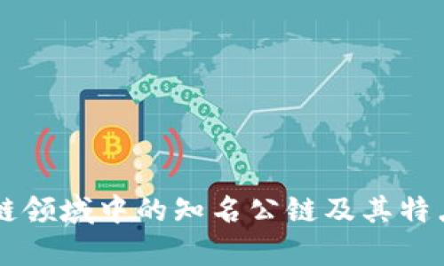区块链领域中的知名公链及其特点分析