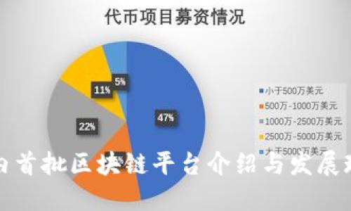 国内首批区块链平台介绍与发展现状