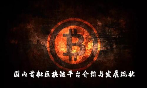 国内首批区块链平台介绍与发展现状