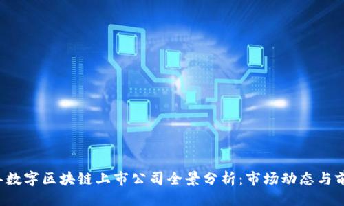 优质
2023年数字区块链上市公司全景分析:市场动态与前景展望