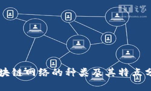 区块链网络的种类及其特点分析