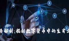 区块链生肖套路解析：揭