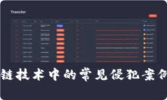 区块链技术中的常见侵犯