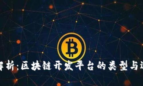 : 全面解析:区块链开发平台的类型与选型指南