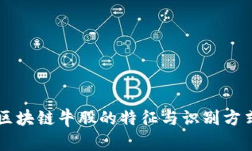 区块链牛股的特征与识别方式