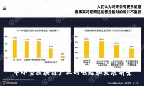 中小型区块链产业的崛起和发展前景