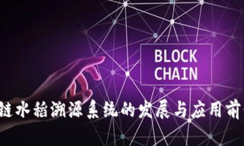 区块链水稻溯源系统的发展与应用前景解析