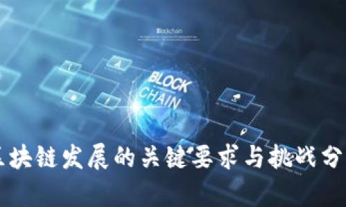 区块链发展的关键要求与挑战分析