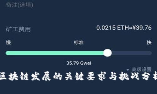区块链发展的关键要求与挑战分析