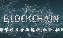 区块链出国留学项目全面
