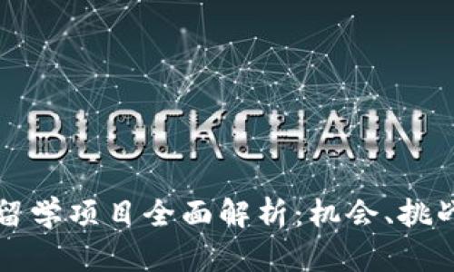 区块链出国留学项目全面解析:机会、挑战与最佳选择