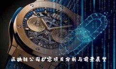 区块链公司扩容项目分析