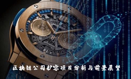 区块链公司扩容项目分析与前景展望