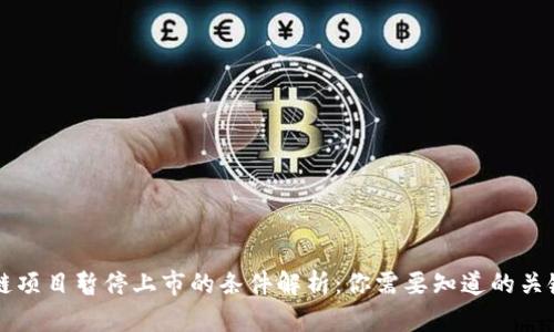 区块链项目暂停上市的条件解析:你需要知道的关键要素