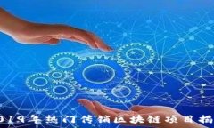   2019年热门传销区块链项