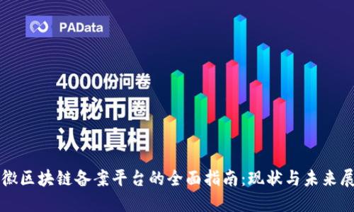 安徽区块链备案平台的全面指南:现状与未来展望