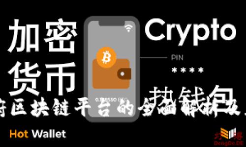 南宁政府区块链平台的全面解析及应用前景
