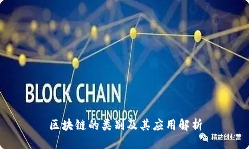 区块链的类别及其应用解析
