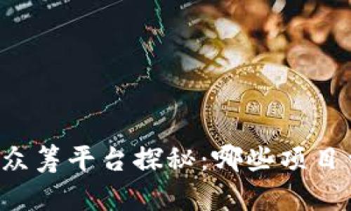 区块链早期众筹平台探秘:哪些项目曾引领潮流?