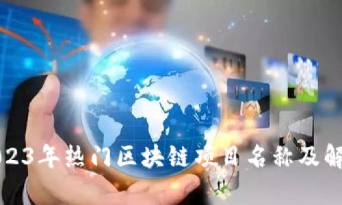2023年热门区块链项目名称及解析