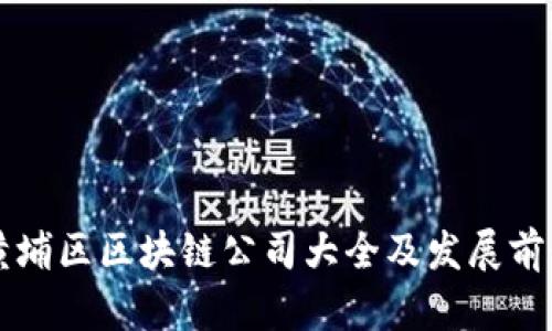 广州黄埔区区块链公司大全及发展前景解析
