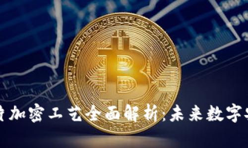 区块链芯片加密工艺全面解析:未来数字安全的基石