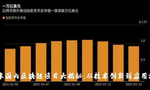 日本国内区块链项目大揭秘:从技术创新到应用场景