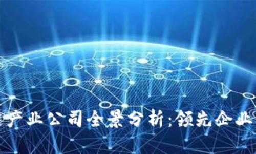 深圳区块链产业公司全景分析:领先企业与创新生态