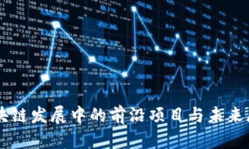 区块链发展中的前沿项目与未来展望