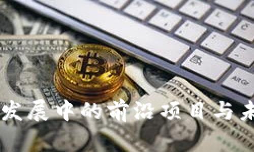 区块链发展中的前沿项目与未来展望