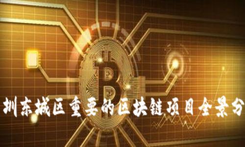 深圳东城区重要的区块链项目全景分析