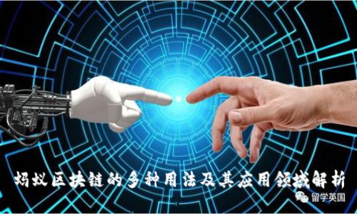 蚂蚁区块链的多种用法及其应用领域解析