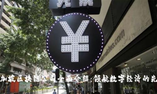 新加坡区块链公司全面介绍:领航数字经济的先锋