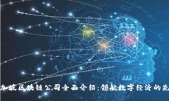 新加坡区块链公司全面介