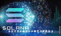 长沙星沙区块链企业概览