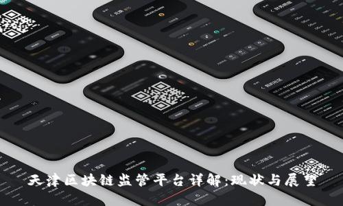 天津区块链监管平台详解:现状与展望