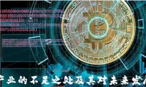 区块链产业的不足之处及其对未来发展的影响