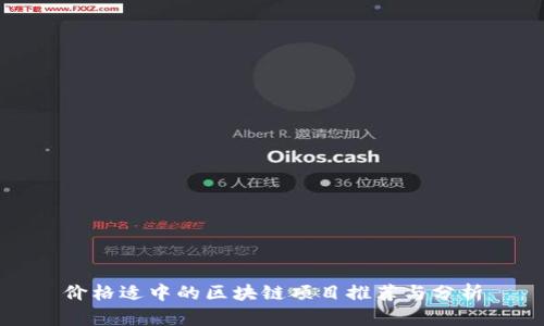 价格适中的区块链项目推荐与分析