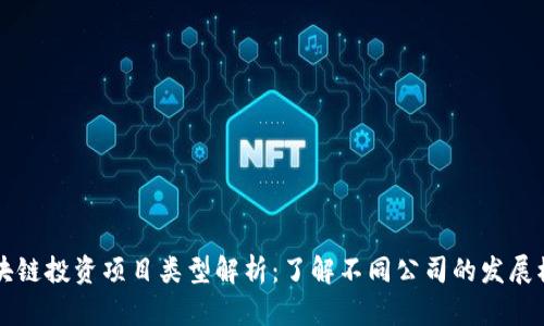 区块链投资项目类型解析:了解不同公司的发展模式