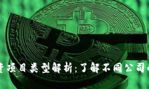 区块链投资项目类型解析:了解不同公司的发展模式