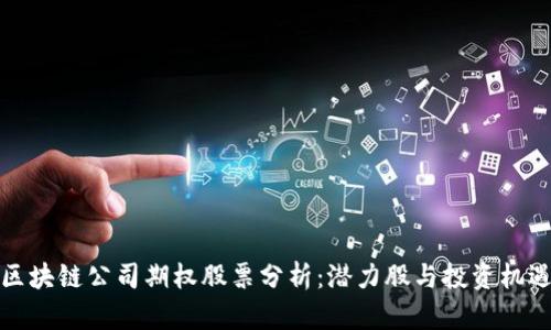 区块链公司期权股票分析:潜力股与投资机遇