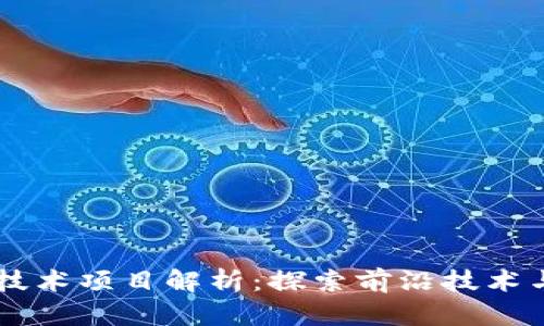 区块链小技术项目解析:探索前沿技术与创新应用