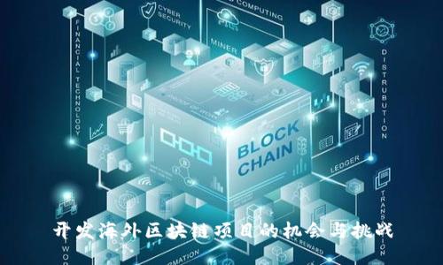 开发海外区块链项目的机会与挑战