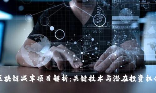 区块链减半项目解析:关键技术与潜在投资机会