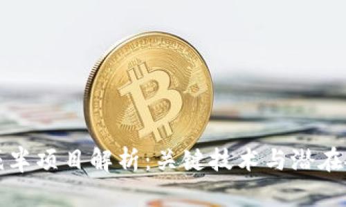 区块链减半项目解析:关键技术与潜在投资机会